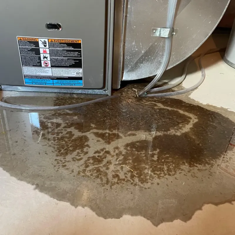 Appliance Leak Cleanup in Mountain View, NC